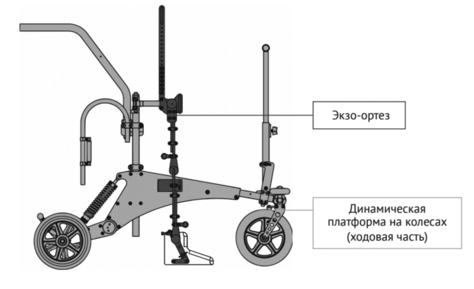 Описание изображения